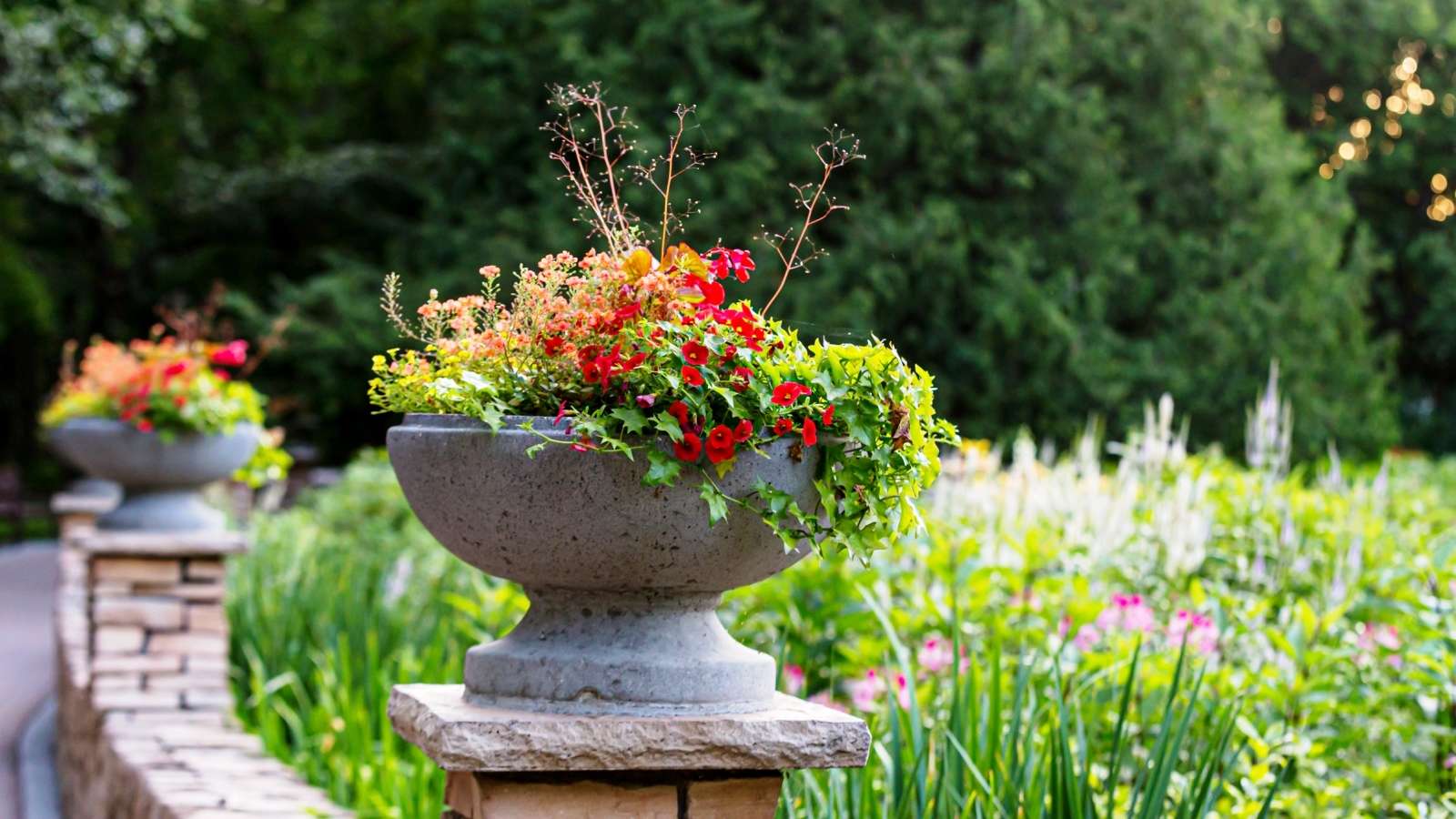 Photo Gallery Assiniboine Park Conservancy